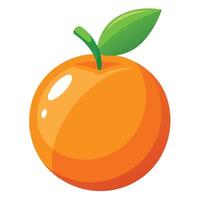 An orange is shown on a white background vector