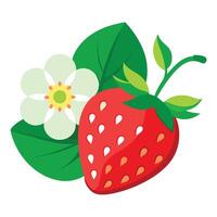 Strawberry and flower vector
