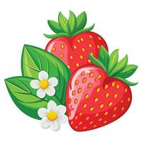 Strawberries and daisies vector