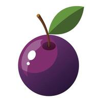 A purple plum on a white background vector