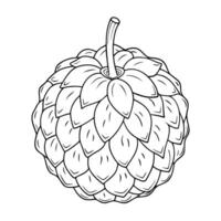 An apple with leaves on it is shown in this drawing vector
