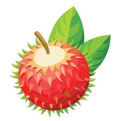 A red rambutan fruit with leaves on it