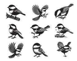 Set of Black-capped chickadee Silhouette Design - Black-capped chickadee Illustration vector