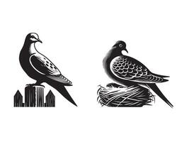 Collection of Mourning Dove illustration - Mourning Dove Bird Clipart Design vector