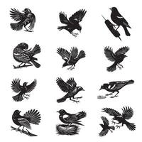 Set of Red-winged blackbird silhouette Design - blackbird illustration vector
