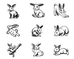 Set of Rabbit Outline Design - bunny illustration in black and white vector