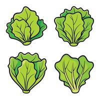 Lettuce leaves set of illustration vector