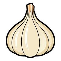 A garlic bulb on a white background vector