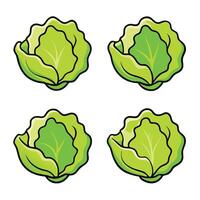 A set of four green cabbage leaves vector