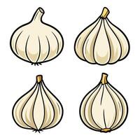 Four garlic cloves on a white background vector