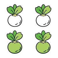 Four different types of vegetables with green leaves vector