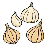 Three garlic cloves on a white background vector