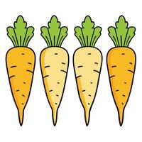 Carrots illustration white background vector