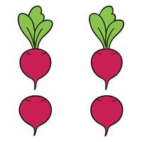 Three beets with green leaves are shown vector