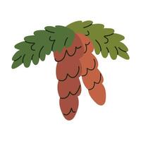 Hand drawn illustration of a pine twig with cones. Spruce branch, fir tree. Flat in color doodle style. vector