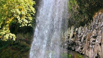 Waterfall cascading over rocks in a lush forest. A majestic waterfall flows over rugged rocks, surrounded by vibrant greenery in a peaceful forest setting. video