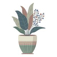 Indoor flower in a pot in boho style. vector