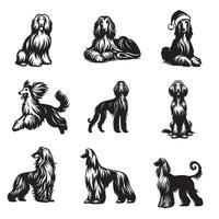 Set of Afghan Hound Dog illustration - Afghan Hound Dog Different Activities Clipart Design vector