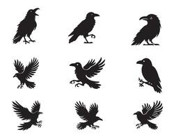 Collection of Raven Bird silhouette Design - Common Raven illustration vector