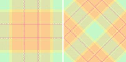 Fabric tartan of check pattern texture with a textile seamless background plaid. Set in spring colors for modern rug designs and other home decor. vector