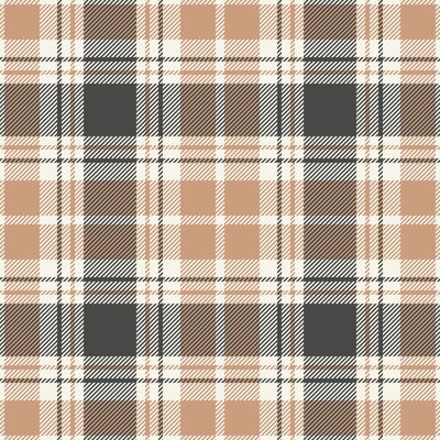 Plaid seamless pattern. Check fabric texture. textile print.