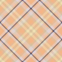 Plaid pattern . Check fabric texture. Seamless textile design for clothes, paper print. vector