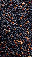 Rotating background of lots of poppy seeds, Close up, Slow motion video