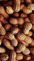 Rotating background of lots of peanuts Close up, Slow motion video