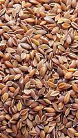 Rotating background of Psyllium seeds video