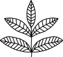 tobacco leaf . leaf line vector