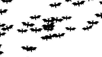 A large swarm of Halloween bats flying and filling the white screen video