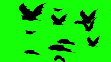 A green background with bats flying in the air video