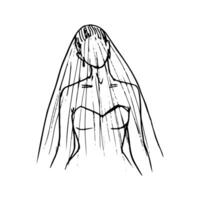 drawing portrait of a bride with a veil and her head tilted to the side, full-face perspective - hand drawn line sketch vector