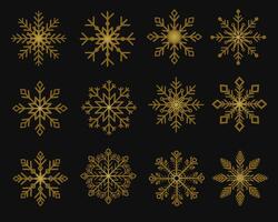 Various shapes and ornaments golden snowflakes on black background vector