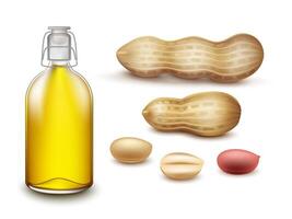 Realistic glass bottle peanut oil with peanut seeds and peanut pods on white background for advertising, web and etc. vector