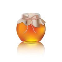 Honey jar realistic isolated on white background. Shining yellow honey in a glass pot for web banner ads and etc. vector