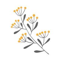 Twig hand drawn, branch doodle with orange berry, element isolated on white background. vector