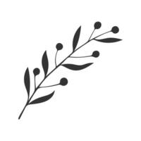 Doodle twig with leaf and berry, silhouette branch hand drawn, element design on white background. vector