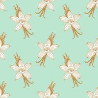 Mint pattern with vanilla spice, gold contour flowers and pods on light green background. vector