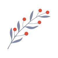 Winter twig, branch hand drawn doodle with red berries, element botanical design. vector