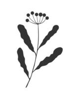 Twig with leaf and berry, silhouette branch hand drawn, doodle element design on white background. vector
