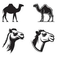 A set of camel animal illustration graphics vector