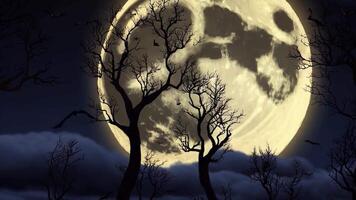 Haunting Full Moon Scene with Flying Bats and Spooky Trees video