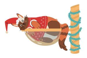 Funny cat in Christmas outfit laying in hammock flat illustration isolated on white. vector