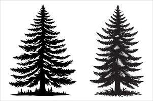 pine tree silhouette with white backround vector