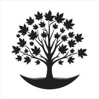 maple tree silhouette vector