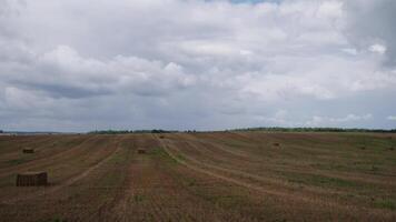 Time lapse field without wheat with clouds video