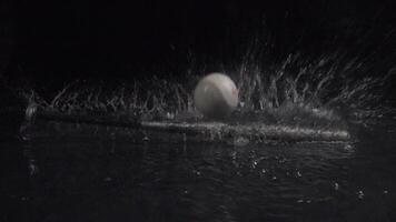 Super Slow Motion Shot of baseball ball and bat at 1000 fps. Waterfall at 1000 frames per second. Sport concept super slow motion shot on high speed camera 1000 fps. video