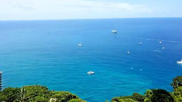 Enjoy the serene ocean view with charming sailboats and lush greenery all around video