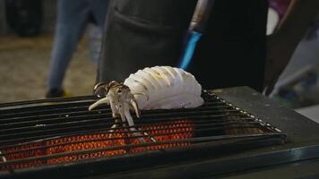 Cooking squid on a grill with a torch to create a delicious seafood dish video